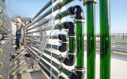Pipes with green fluits